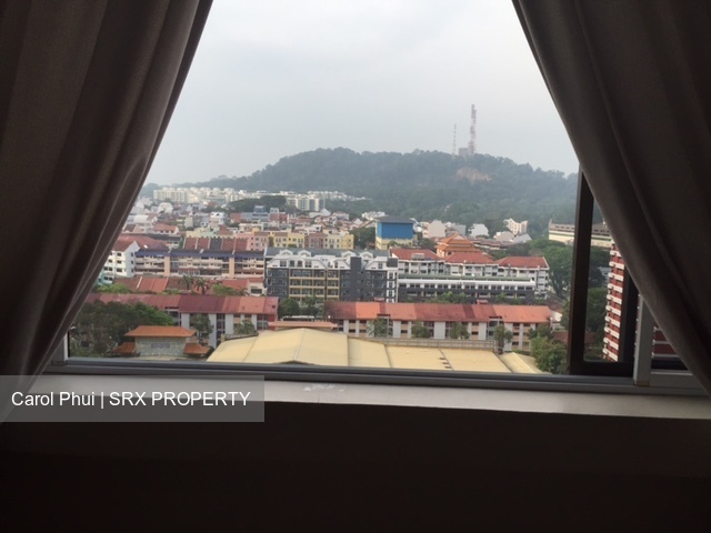 Blk 9 Toh Yi Drive (Bukit Timah), HDB 5 Rooms #174518762